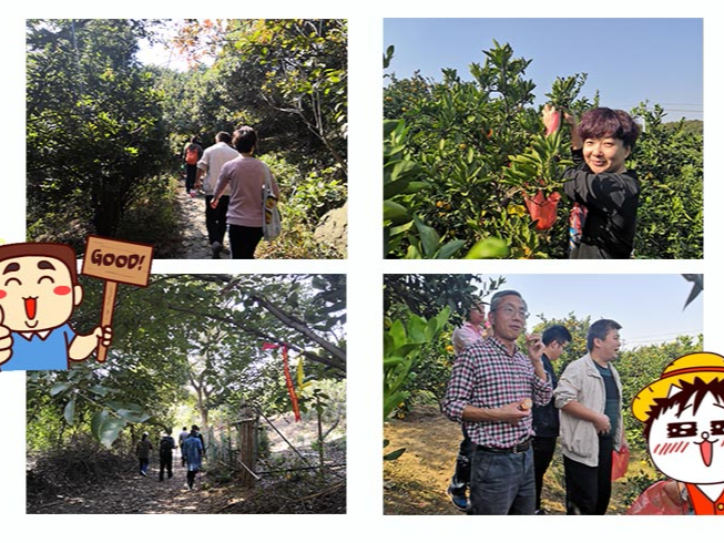 三盛機(jī)電團(tuán)隊(duì)<i style='color:red'>徒步</i>穿越之旅：重走軍嶂古道，感受千年古道文化余溫。