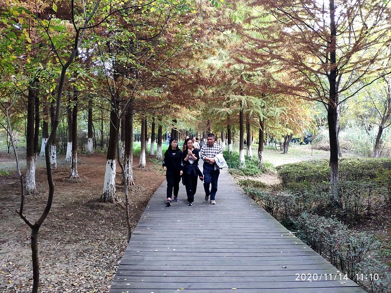 三盛機(jī)電組織員工長(zhǎng)廣溪濕地公園徒步活動(dòng)